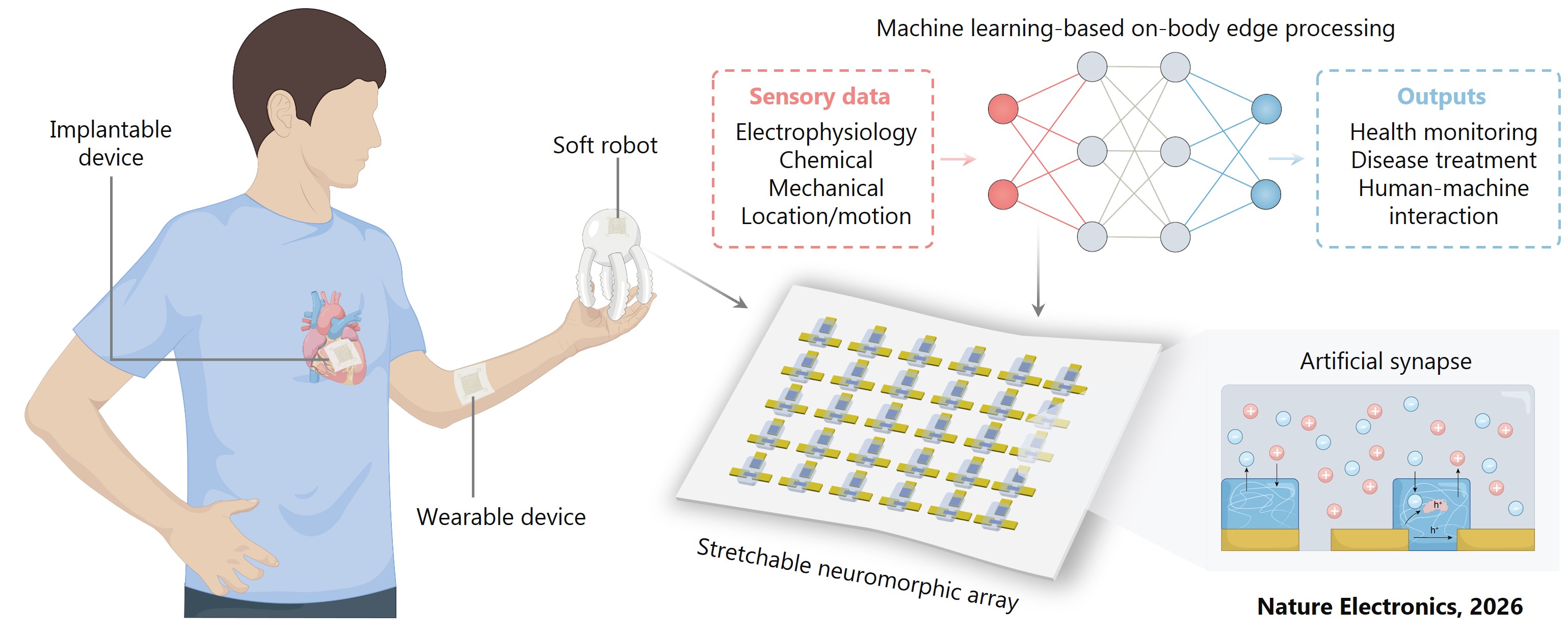 Research Highlight 1