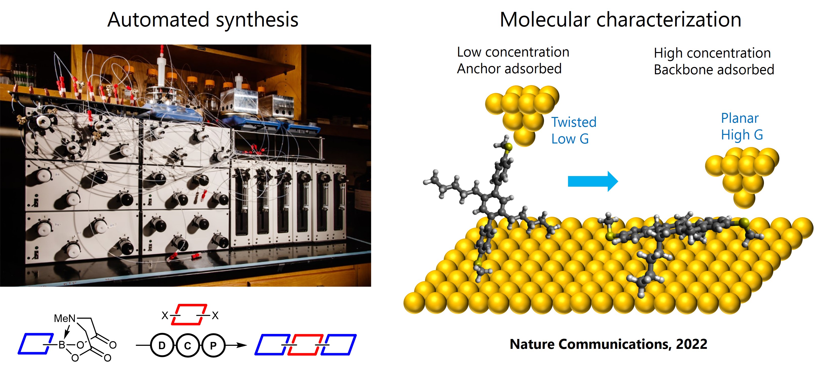 Research Highlight 2